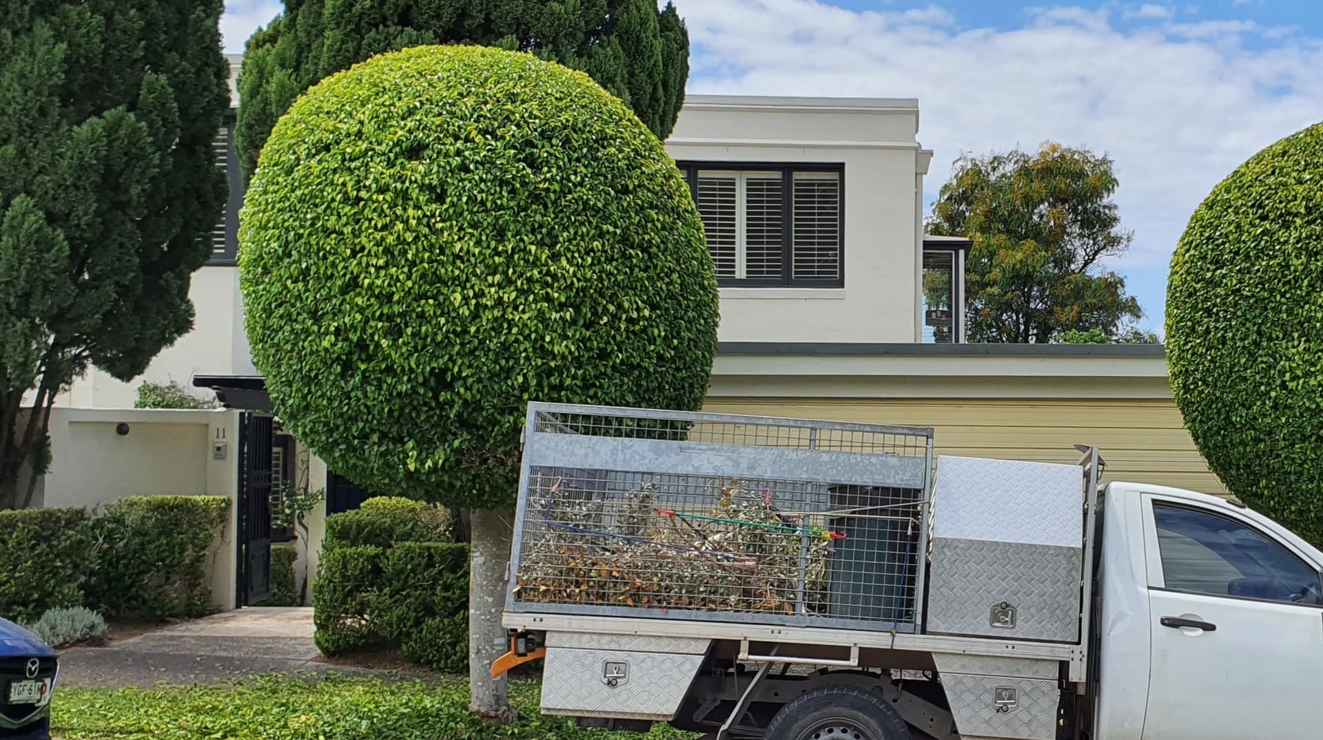 After Hedges transformation in Dee Why