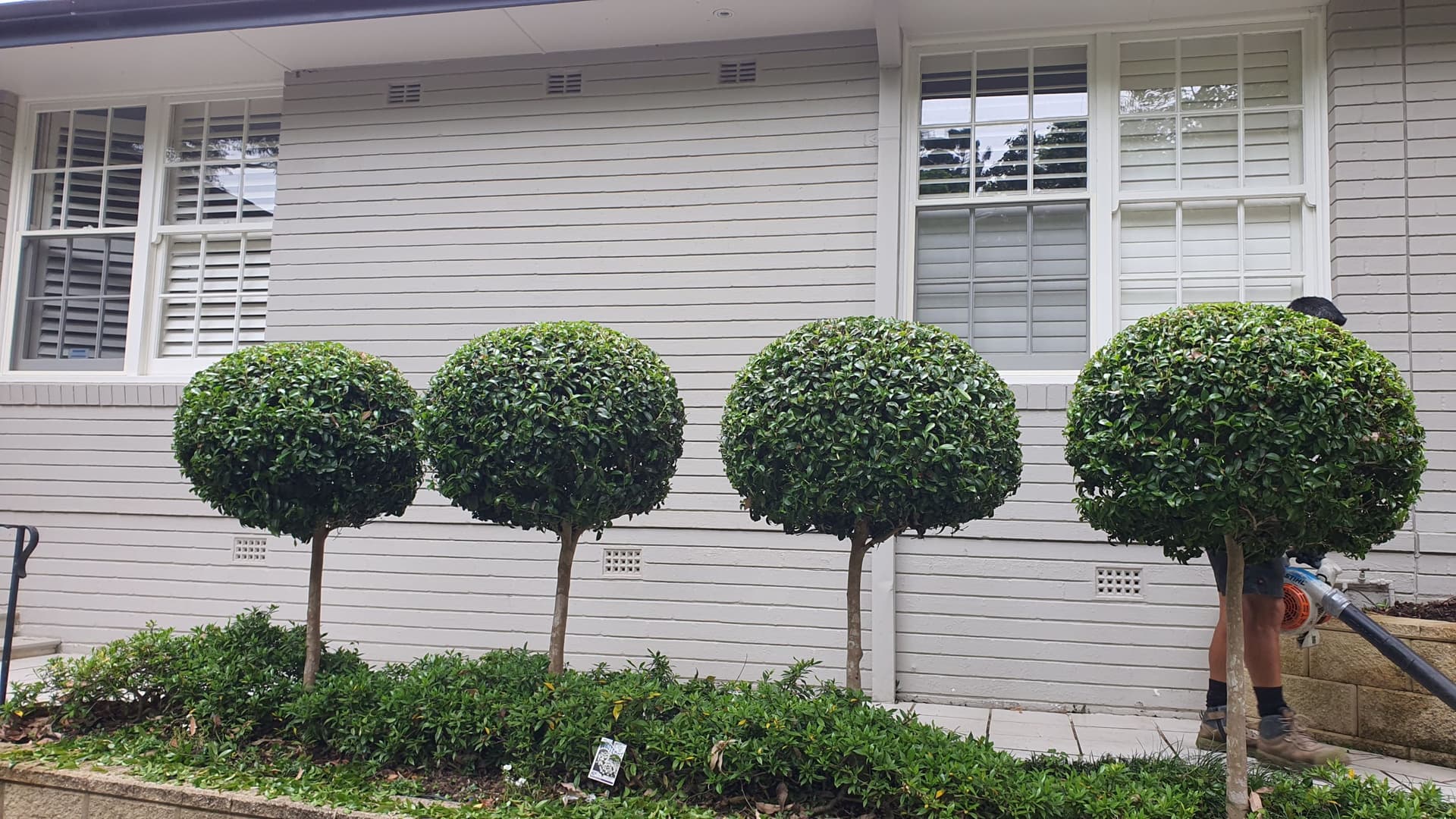 After garden makeover in Manly