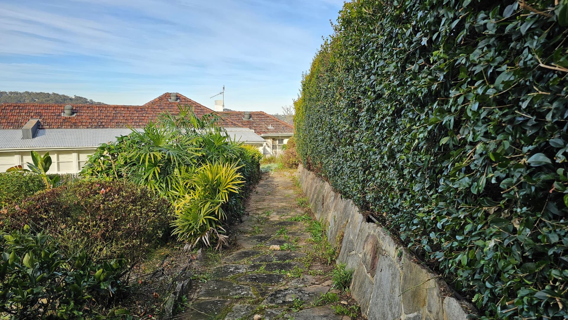 After garden clean up in New Port