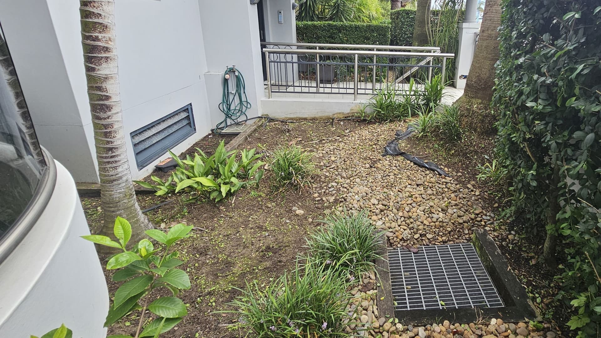 After Weeding in Brookvale