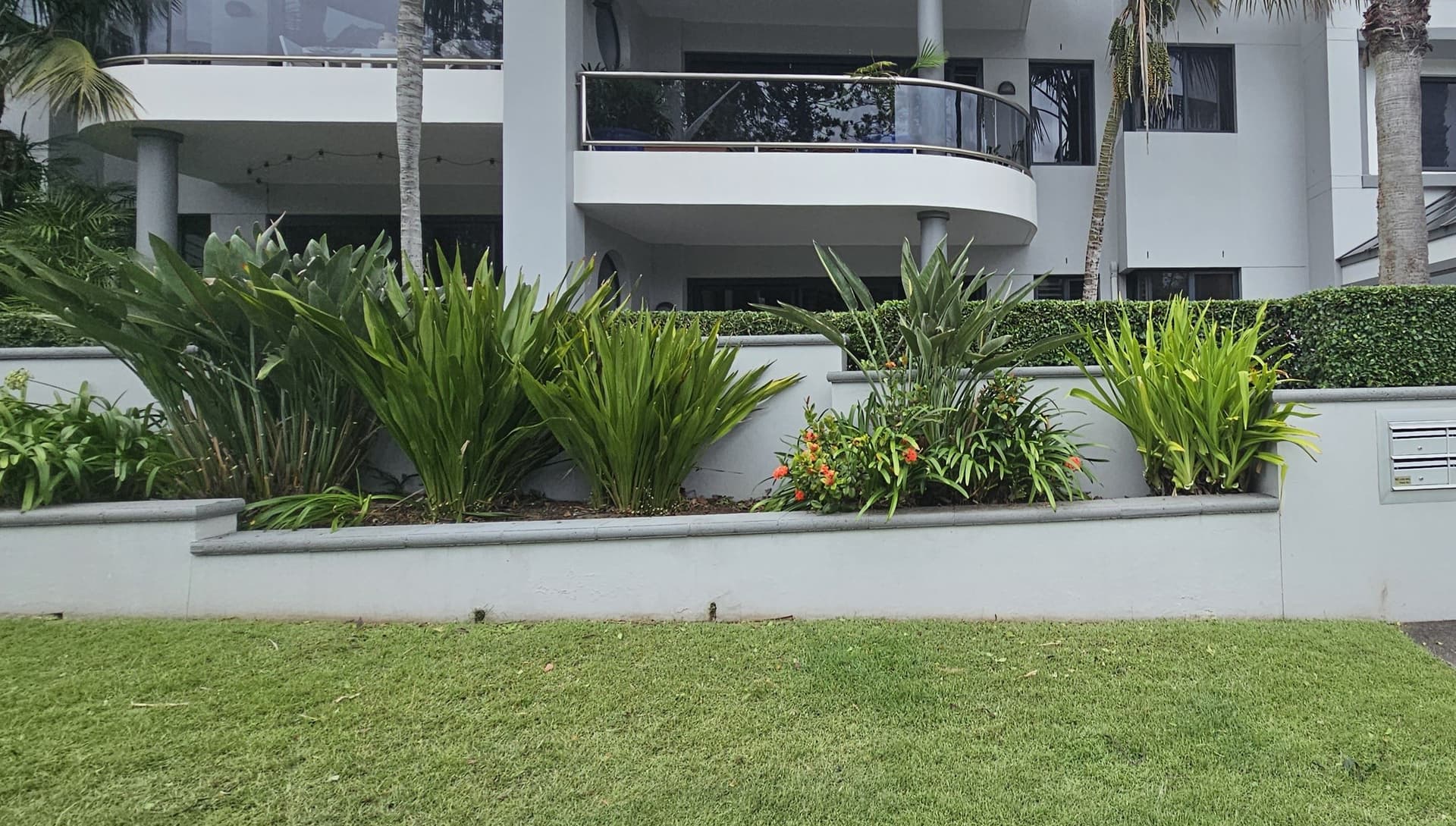 After garden maintenance in Mona Vale
