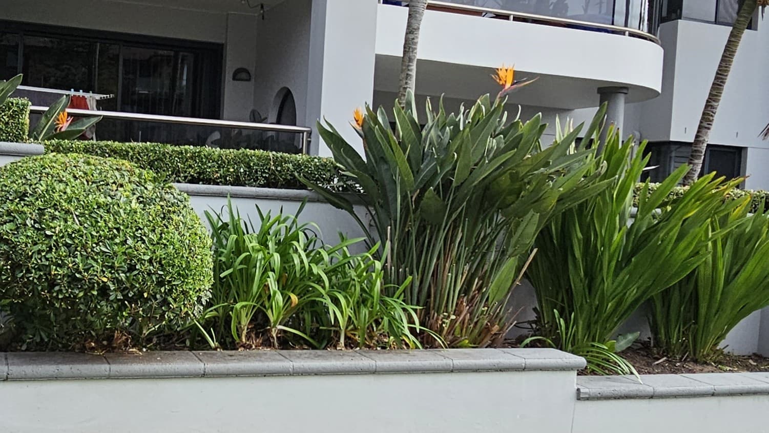 Illustration of Garden Maintenance