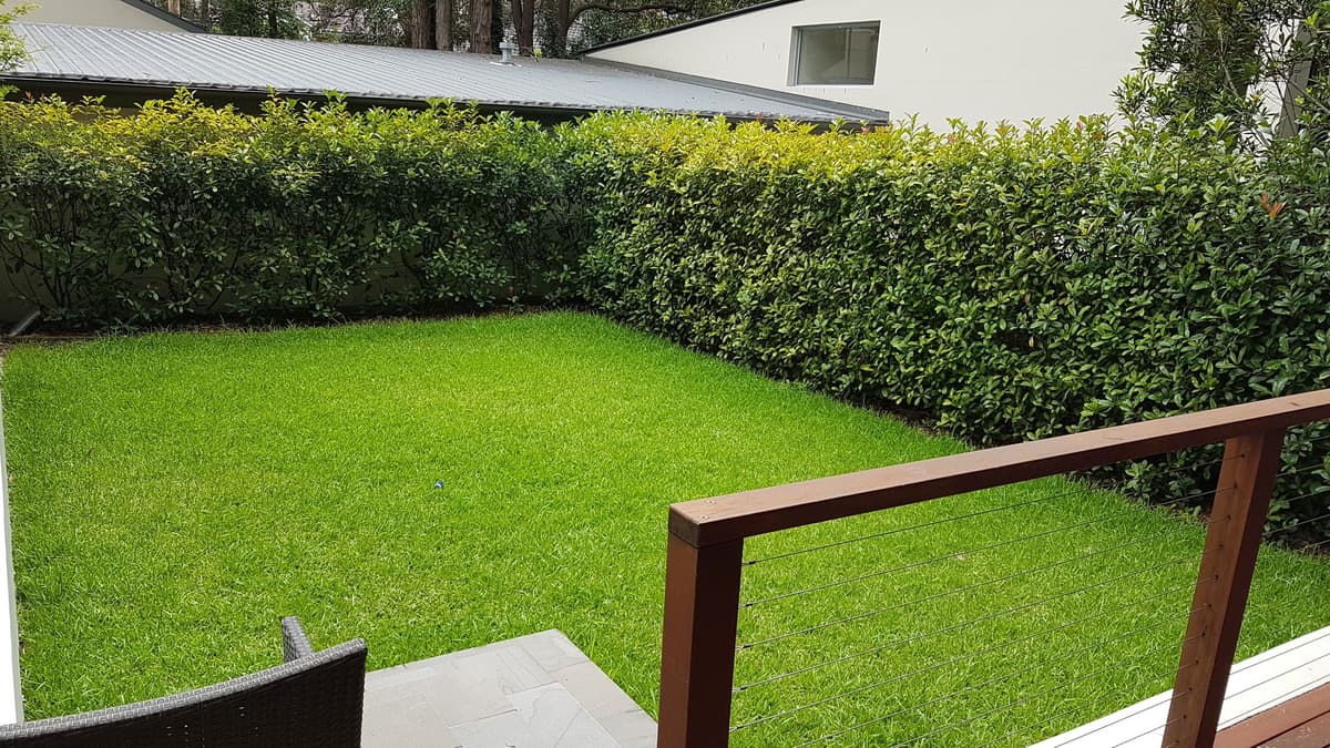 Lawn Mowing & Edging example 1 in Northern Beaches