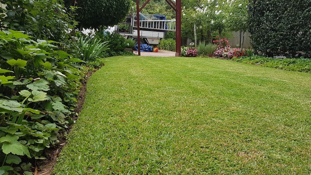 Lawn Mowing & Edging example 2 in Northern Beaches