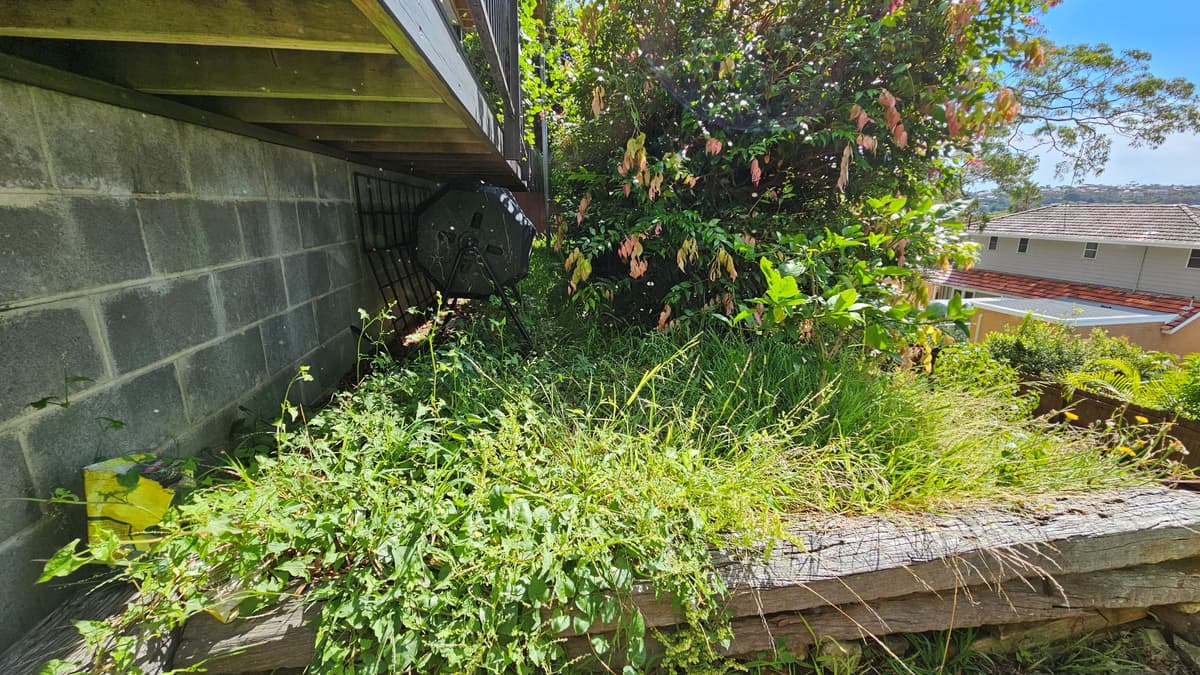 Weeding example 1 in Northern Beaches