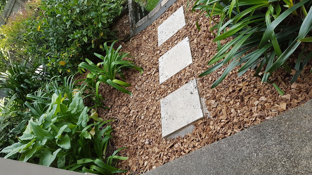 Mulching example 1 in Northern Beaches