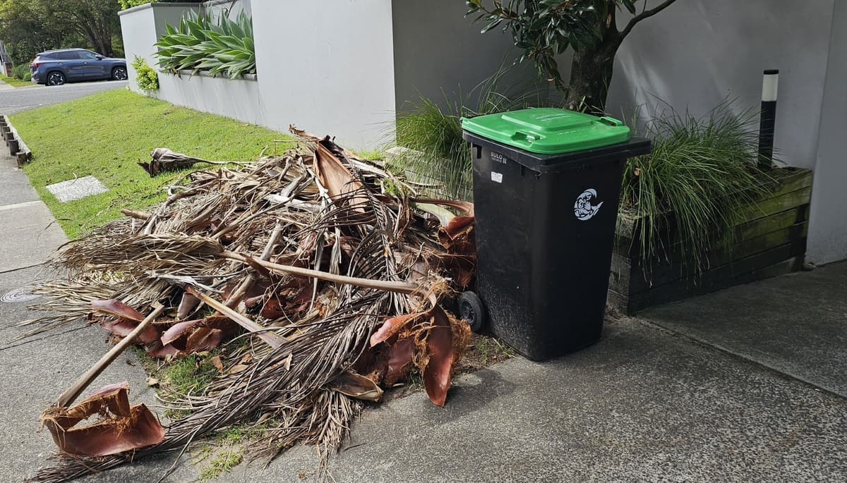 Garden Clean Up example 1 in Northern Beaches