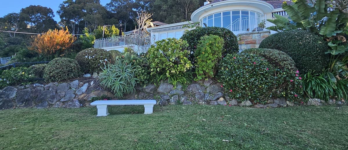 Garden Maintenance example 1 in Northern Beaches