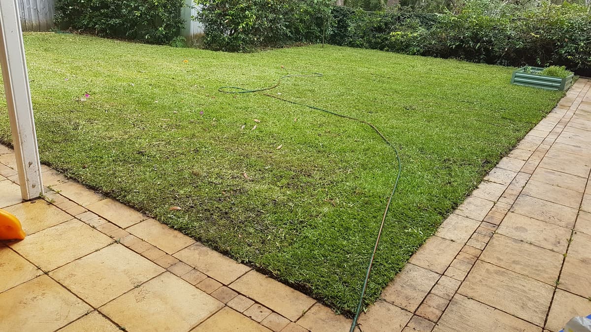 Turfing example 2 in Northern Beaches